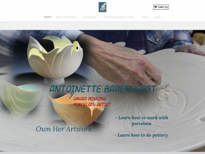 www.porcelainbyantoinette.com snapshot