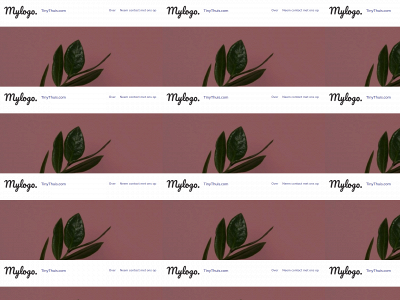 tinythuis.com snapshot
