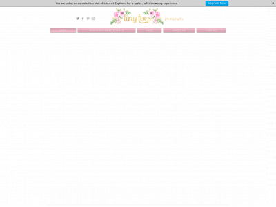 tinytoesfoto.com snapshot