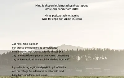 ninaspsykoterapimottagning.se snapshot