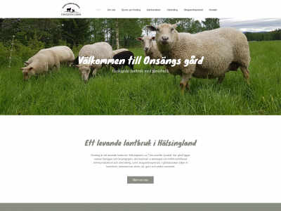 onsang.se snapshot