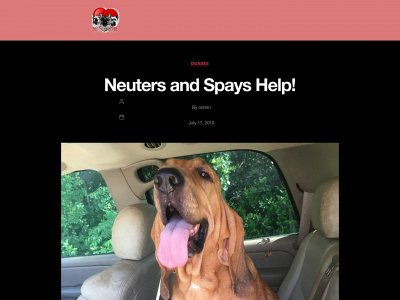 dogtown01.org snapshot