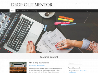 dropoutmentor.com snapshot