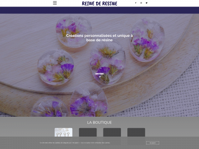 reinederesine.fr snapshot