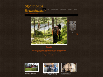 stjbh.se snapshot