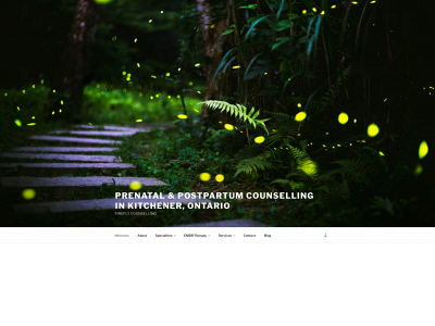 fireflycounselling.com snapshot
