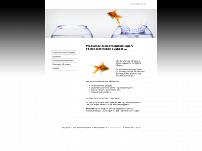 ergowise.dk snapshot