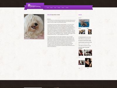 havies-home.nl snapshot