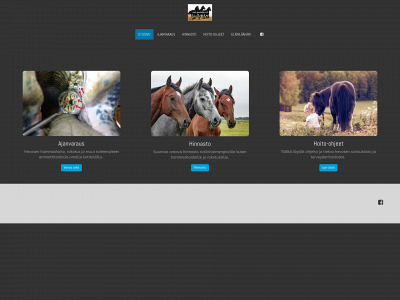 konitohtori.fi snapshot