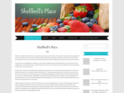 shellbellsplace.com snapshot