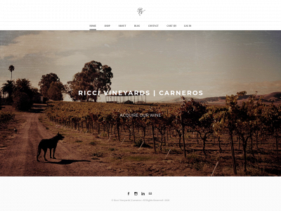 www.riccivineyards.com snapshot
