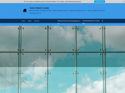 tridentwindowcleaning.co.uk snapshot