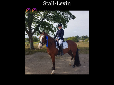 stall-levin.se snapshot