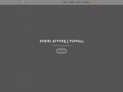 vidvalis.lt snapshot