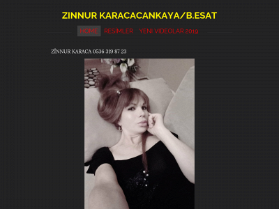 ankarazinnur.weebly.com snapshot