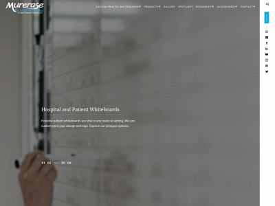 ddscustom.com snapshot