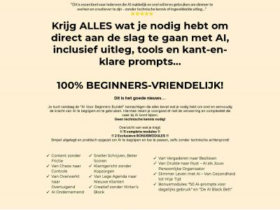 aivoorbeginnersbundel.nl snapshot