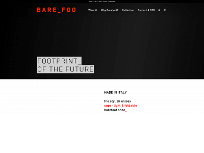 hybridshoes.com snapshot
