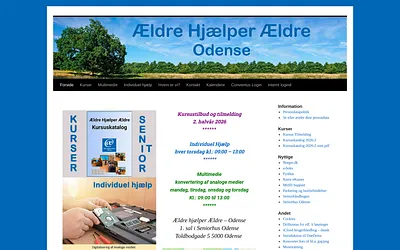 aehae.dk snapshot