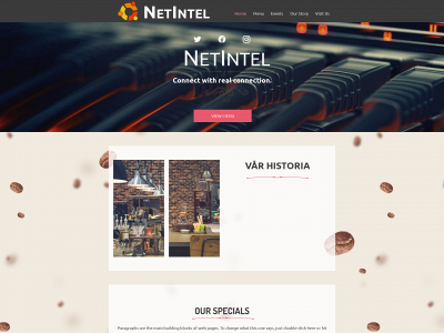 netintel.se snapshot