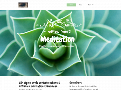 meditationspedagog.se snapshot
