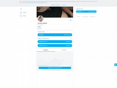 christinasteele.co.uk snapshot