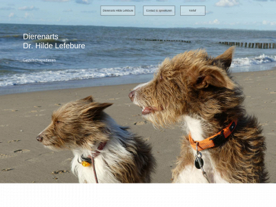 dierenartshildelefebure.be snapshot