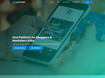 mrisem.com snapshot