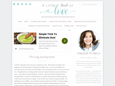 alittledashoflove.com snapshot