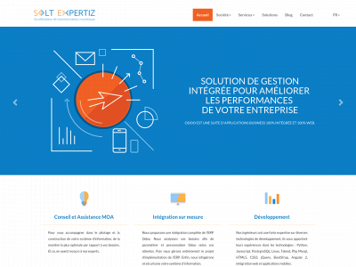 soltexpertiz.com snapshot