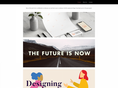 flaminiazannotti.com snapshot