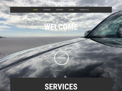 www.hiltsdetailing.com snapshot
