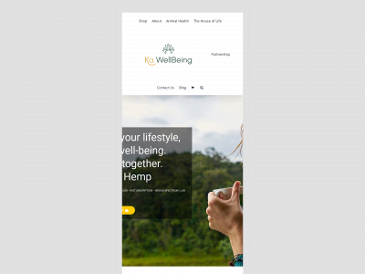 kawellbeing.com snapshot