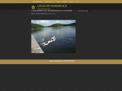 lisashundservice.se snapshot