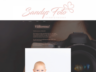 sandysfoto.se snapshot