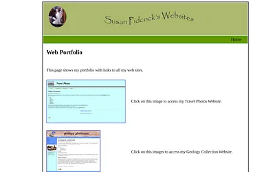 susanpidcock.co.uk snapshot