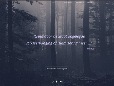 solveyg.nl snapshot