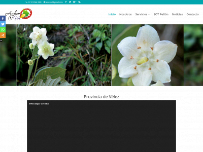 www.asprovel.org snapshot