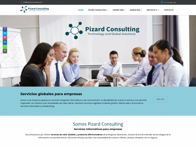 pizardconsulting.com snapshot