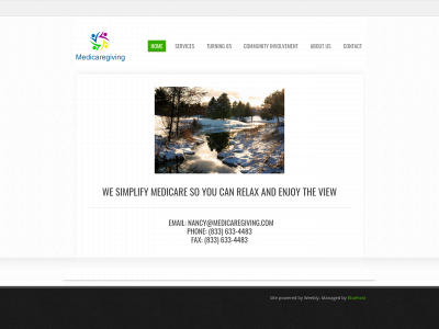 medicaregiving.com snapshot