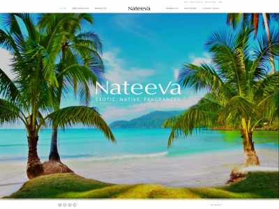 nateeva.com snapshot