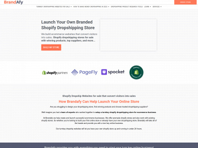 brandafy.com snapshot