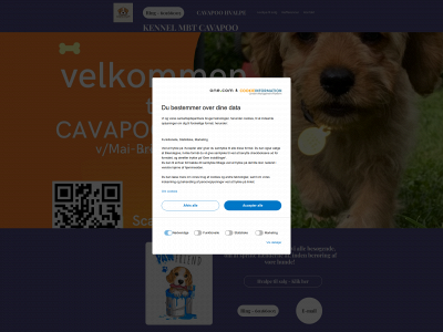 cavapoohvalpe.dk snapshot