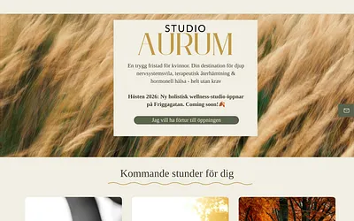 studioaurum.se snapshot