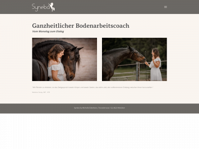 syneba.ch snapshot