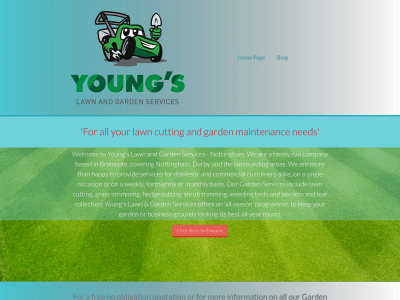 youngslawnandgardenservices.co.uk snapshot