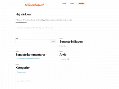 skanestudent.se snapshot