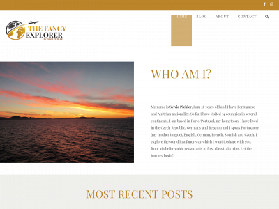 thefancyexplorer.com snapshot