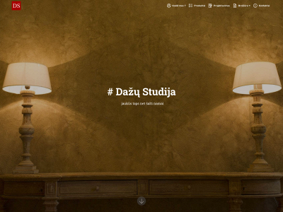 dazustudija.lt snapshot