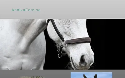 annikafoto.se snapshot